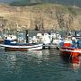 Fischerboote im Hafen von Puerto de Las Nieves